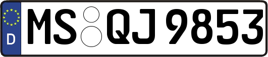 MS-QJ9853