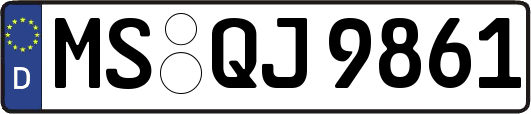 MS-QJ9861