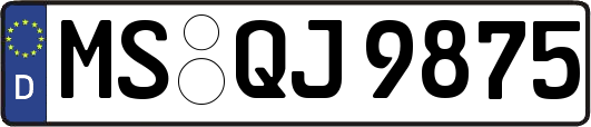 MS-QJ9875