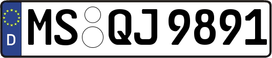 MS-QJ9891