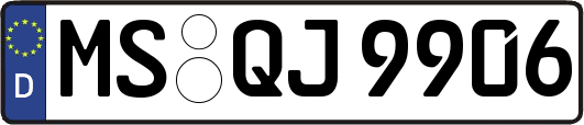 MS-QJ9906