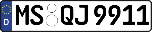 MS-QJ9911