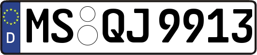 MS-QJ9913