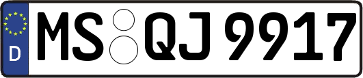 MS-QJ9917