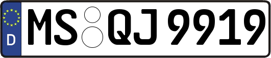 MS-QJ9919