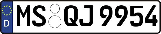 MS-QJ9954