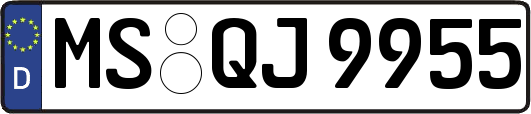 MS-QJ9955