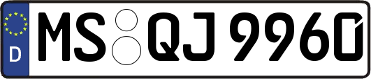 MS-QJ9960