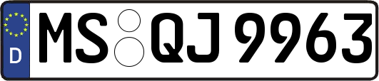 MS-QJ9963