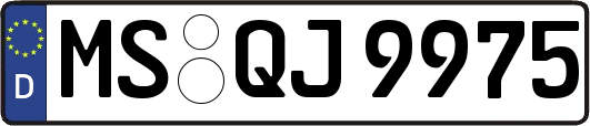 MS-QJ9975