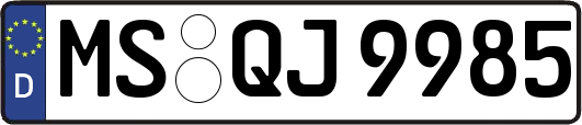 MS-QJ9985