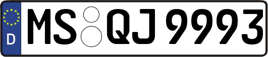 MS-QJ9993