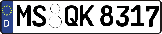MS-QK8317