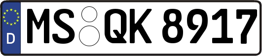 MS-QK8917
