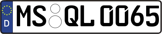MS-QL0065