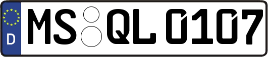 MS-QL0107