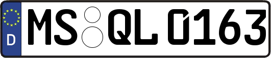 MS-QL0163