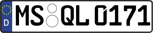 MS-QL0171