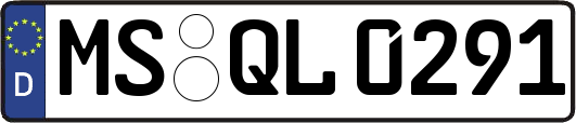 MS-QL0291