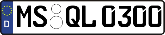 MS-QL0300