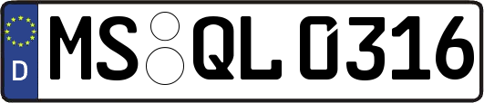 MS-QL0316