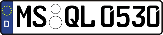 MS-QL0530
