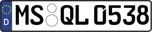 MS-QL0538