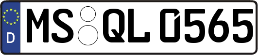 MS-QL0565