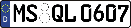 MS-QL0607