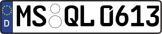 MS-QL0613