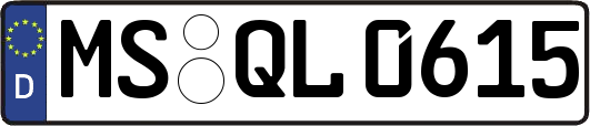 MS-QL0615