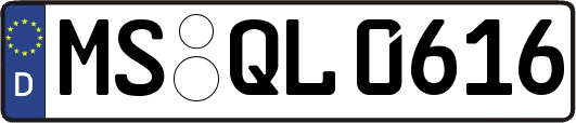 MS-QL0616
