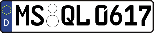 MS-QL0617