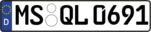 MS-QL0691