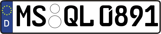 MS-QL0891