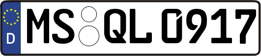 MS-QL0917