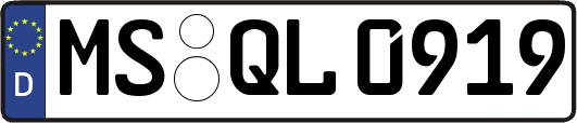 MS-QL0919