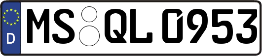 MS-QL0953