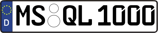MS-QL1000