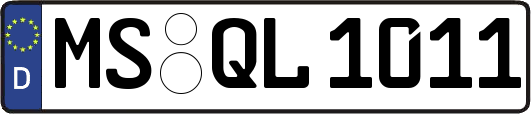 MS-QL1011