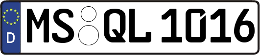 MS-QL1016
