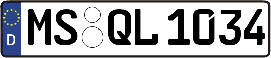 MS-QL1034