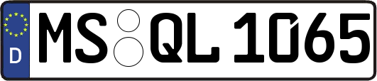 MS-QL1065