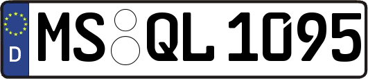 MS-QL1095