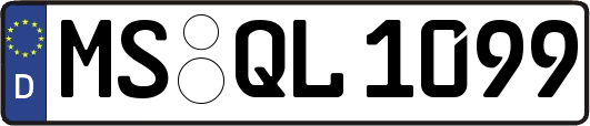 MS-QL1099