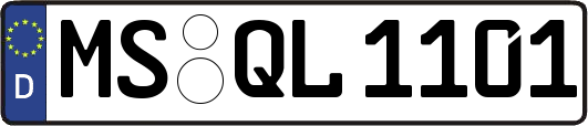MS-QL1101