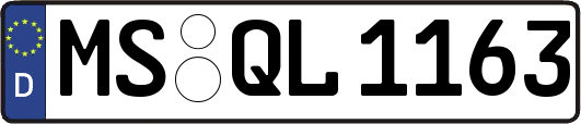 MS-QL1163