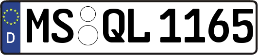MS-QL1165