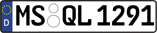 MS-QL1291