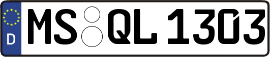 MS-QL1303